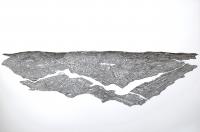 View The Long Tail